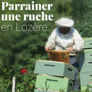 Parrainer une ruche de BienManger.com