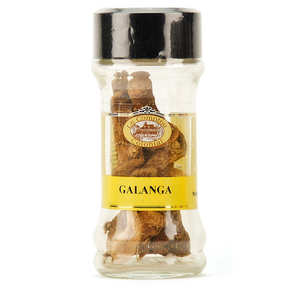 Le Comptoir Colonial - Galanga