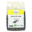 Graines de courge bio