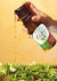Corex Spa - Oli Ola - olive oil and balsamic vinegar