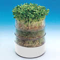 Savic - Bioset - a germinator for seeds and grains.