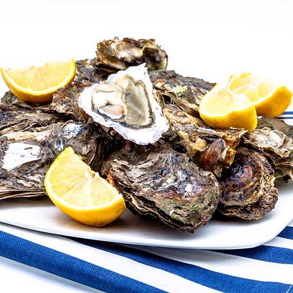 Poisson Au Caviar En 7 Lettres Huîtres fines de claires - Marennes Oléron - n° 4 - Jean-Michel Seguin