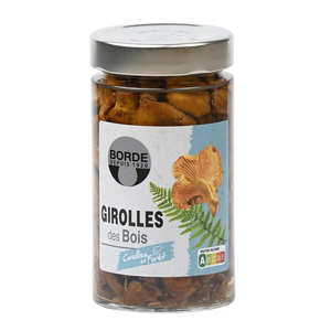 Yellow chanterelles preserved - Borde