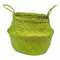 Green double foldable basket