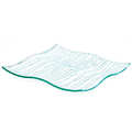 Glass square compartmentalized plate