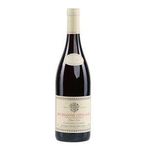 Domaine Vincent Bouzereau - Bourgogne Pinot Noir