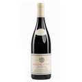 Domaine Vincent Bouzereau - Beaune 1er Cru Pertuizots