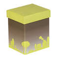 Coffret chocolat 2 compartiments couvercle vert Coffret chocolat 2 compartiments couvercle vert