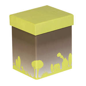 Coffret chocolat 2 compartiments couvercle vert Coffret chocolat 2 compartiments couvercle vert