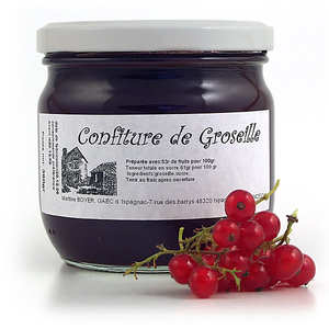 Martine Boyer - Confiture de groseille