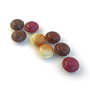 Chocolats Michel Cluizel - All chocolate macarolats by Michel Cluizel
