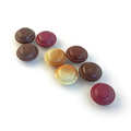 Chocolats Michel Cluizel - Les macarolats pralin&eacute;s et ganaches de Michel Cluizel