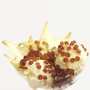 Christine Le Tennier - Creativ' Food - Caramel pearls