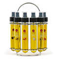La Collina Toscana - Collection of olive oils