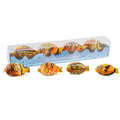 Chocolats Michel Cluizel - Collection de  poissons des r&eacute;cifs en chocolat