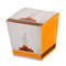 Truffes fantaisie nature