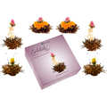 Creano - Coffret 6 fleurs de th&eacute; noir