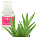 BienManger aromes et colorants - Arôme alimentaire de cactus BienManger aromes et colorants - Arôme alimentaire de cactus