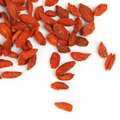 Baies de Goji