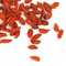 Baies de Goji