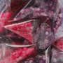 Zuk-Zak - Mini-berlingots de sucre aromatisé à la rose et à la violette Zuk-Zak - Mini-berlingots de sucre aromatisé à la rose et à la violette