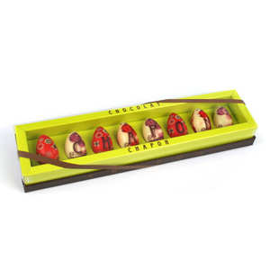 Chapon chocolatier - Box of 8 empty Easter eggs "Chapon"