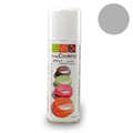 ScrapCooking &reg; - Silver food spray colour