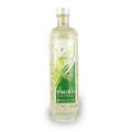 Distillerie Pag&egrave;s - Verveine citronnelle