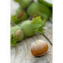 Le Grand Noyer - Hazelnuts roasted