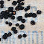 Terre Exotique - Tasmania Pepper