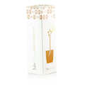 Julie Andrieu - Infusion gingerbread - Julie Infuse