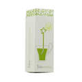 Julie Andrieu - Infusion vert citron - Julie Infuse