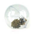Clear plastic ball favour box - Diam&egrave;tre 10 cm