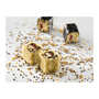 Mugaritz Experiences - Graines de Millet Mugaritz Experiences - Graines de Millet