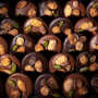Chocolats Michel Cluizel - Les mendiants by Michel Cluizel