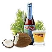 Mongozo beers - Mongozo, Bi&egrave;re &agrave; la noix de coco