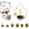 Creano - Teapot and Abloom black tea flowers gift set