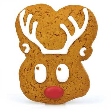 Iced gingerbread Mr Reindeer Iced gingerbread Mr Reindeer