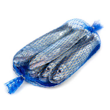 Filet de sardines en chocolat Filet de sardines en chocolat