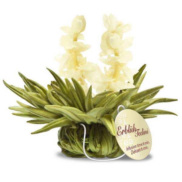 Jasmine Tea Blossom Creano