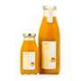 Mango Juice