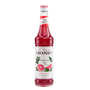 Pink grapefruit syrup Monin
