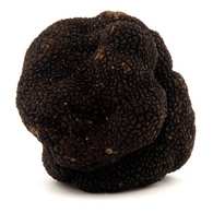 Brisures de truffes noires du Périgord (tuber melanosporum) - Lachaud