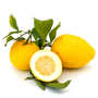 French Menton Citrus