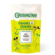 Germline - Blé bio - Graines à germer Germline - Blé bio - Graines à germer