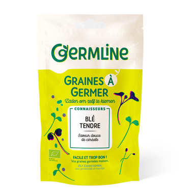 Organic Wheat - Seeds To Sprout Organic Wheat - Seeds To Sprout