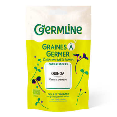 Organic Quinoa - Seeds To Sprout Organic Quinoa - Seeds To Sprout