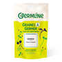 Quinoa bio - Graines à germer