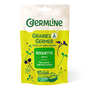 Organic Rocket - Seeds To Sprout