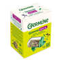 Germoir bocal en verre